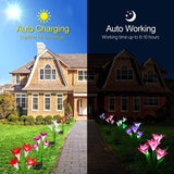 2 x Solar Lights Outdoor Garden Lily Flower Lamps