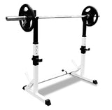 Squat Rack Bench Rack