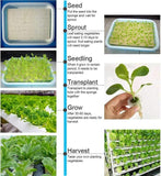 Hydroponic Grow Kit
