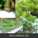 Hydroponic Grow Kit