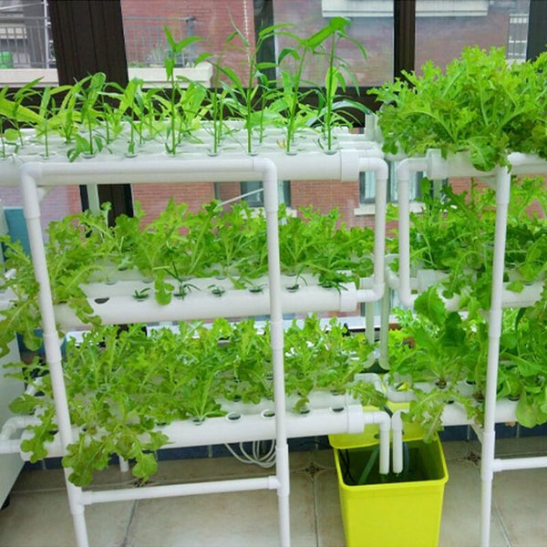 Hydroponic Grow Kit
