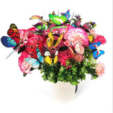 Garden Butterfly Outdoor Butterflies