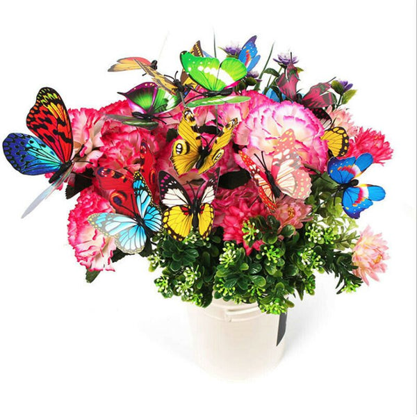 Garden Butterfly Outdoor Butterflies