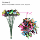 Garden Butterfly Outdoor Butterflies