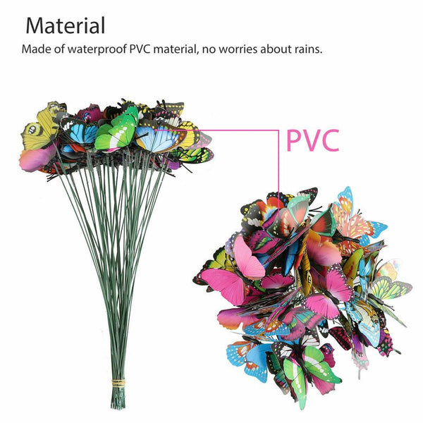 Garden Butterfly Outdoor Butterflies