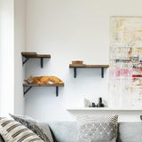 Wall Mounted Corner Shelves