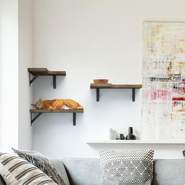 Wall Mounted Corner Shelves
