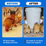 Chicken Feeder