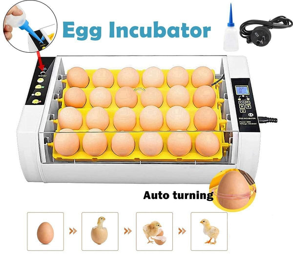 Egg Incubator