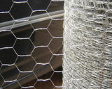 Wire Netting Chicken Mesh Fence 27M Roll