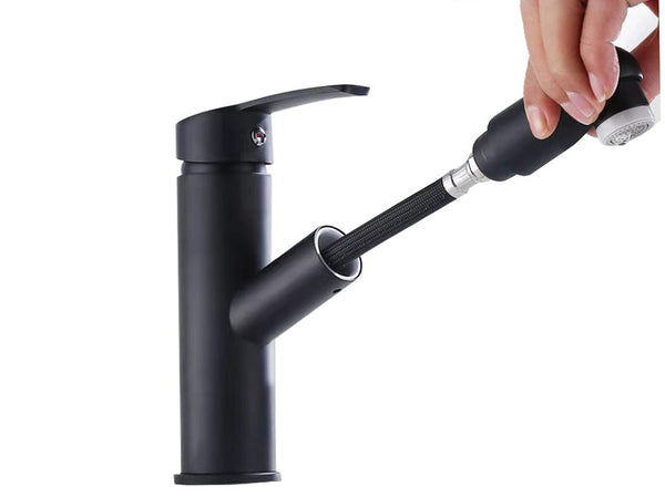 Kitchen Mixer Tap