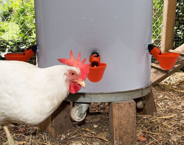 Chicken Automatic Watering Cups Poultry Feeder Drinker