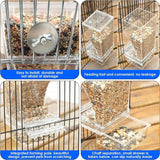 Bird Automatic Feeder Bird Food Container