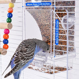 Bird Automatic Feeder Bird Food Container