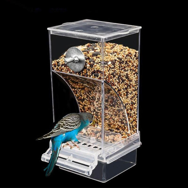 Bird Automatic Feeder Bird Food Container