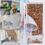 Bird Automatic Feeder Bird Food Container