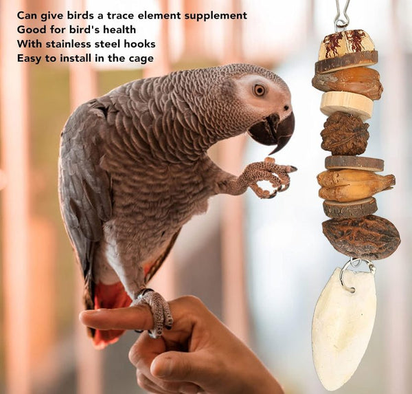 Bird Chewing Toys, Teeth Grinding Wood Toys Cuttlefish Bone for Parrots