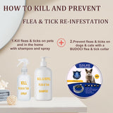 Cat Flea Collar