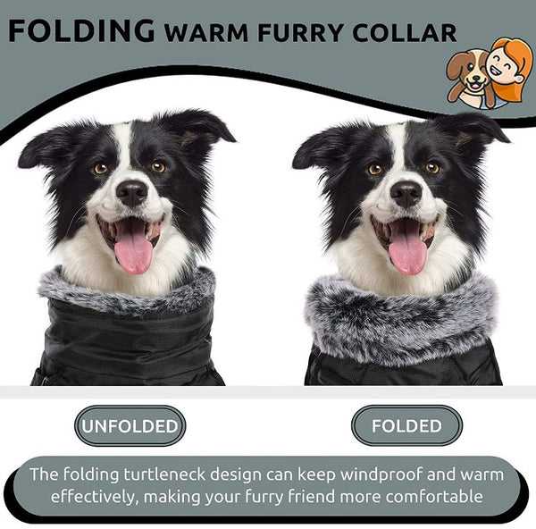 Dog Coat, Winter Dog Jacket Waterproof Windproof 2XL