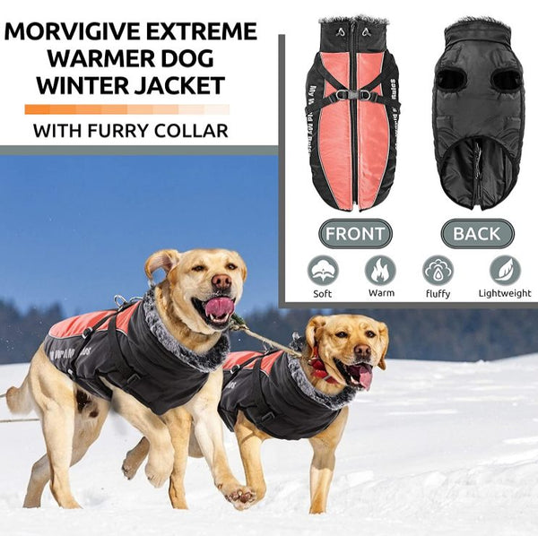 Dog Coat, Winter Dog Jacket Waterproof Windproof 2XL