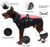 Dog Coat, Winter Dog Jacket Waterproof Windproof 2XL