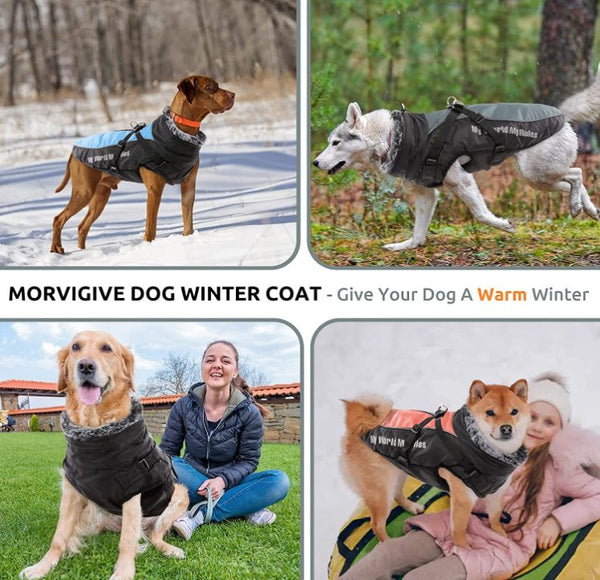 Dog Coat, Winter Dog Jacket Waterproof Windproof 2XL