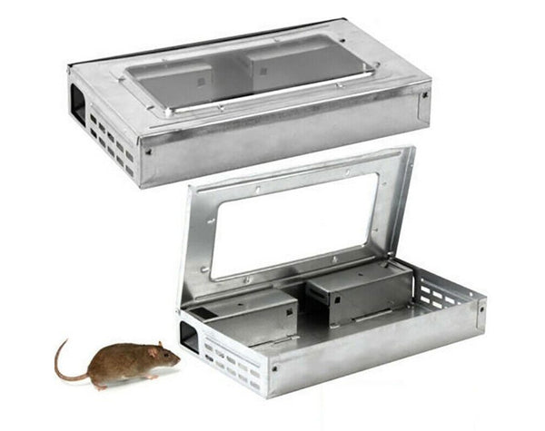 Mouse Trap Rat Traps Pest Control