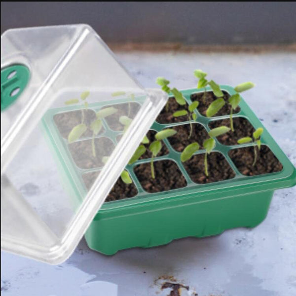 10Pack Garden Seed Starter Tray