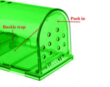 Mouse Trap Rat Traps Pest Control