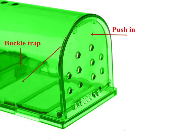 Mouse Trap Rat Traps Pest Control