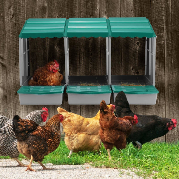 Chicken Nesting Box