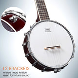 5 String Banjo Music Instrument String Picks