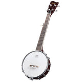 5 String Banjo Music Instrument String Picks