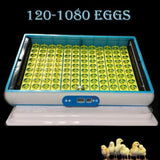 120 Egg Incubator