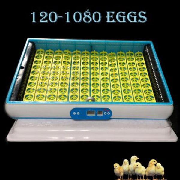 120 Egg Incubator
