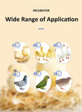 120 Egg Incubator