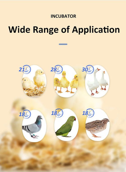 120 Egg Incubator