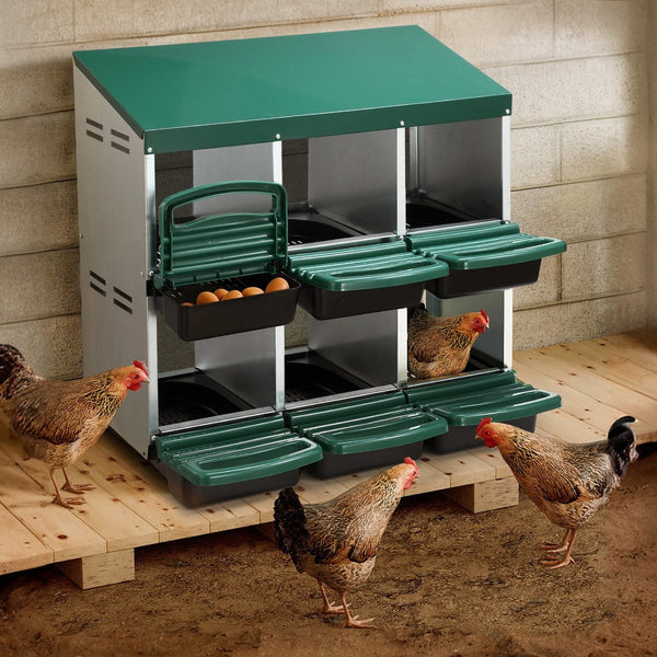 Chicken Nesting Box Roll