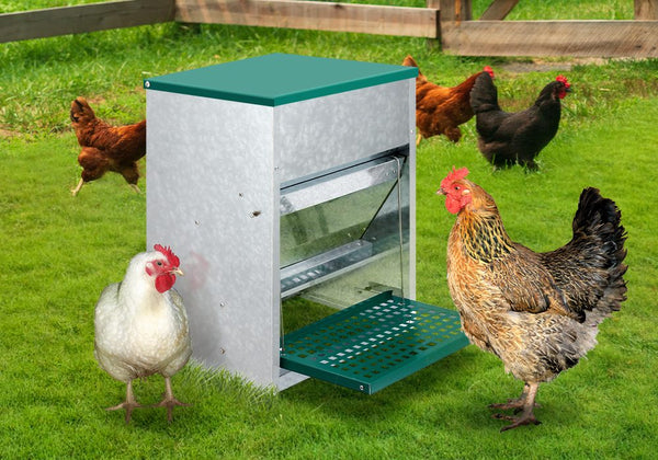 Automatic Chicken Feeder