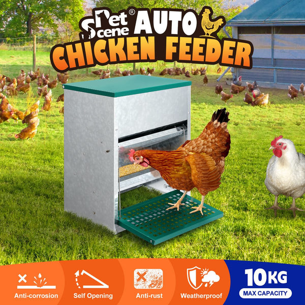 Automatic Chicken Feeder