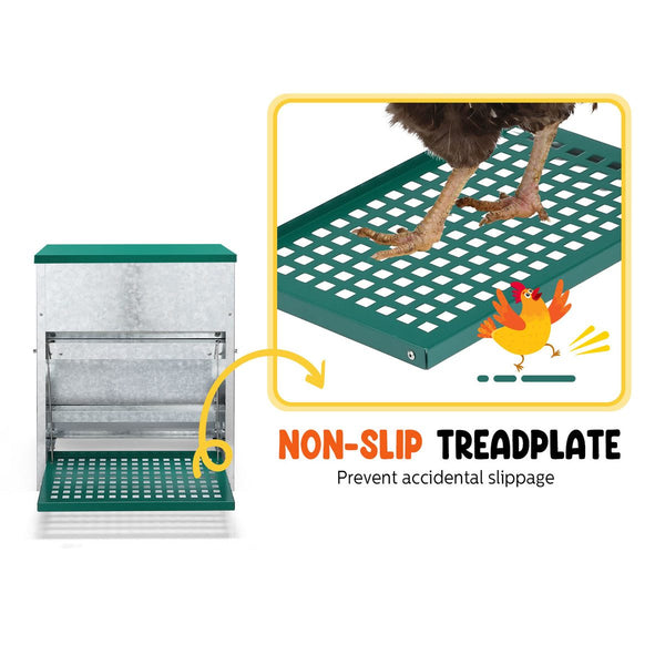 Automatic Chicken Feeder