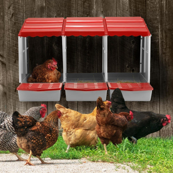 3 Hole Chicken Nesting Box Roll Away Chook Hen Laying Boxes Modular Nest House