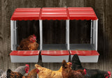 3 Hole Chicken Nesting Box Roll Away Chook Hen Laying Boxes Modular Nest House