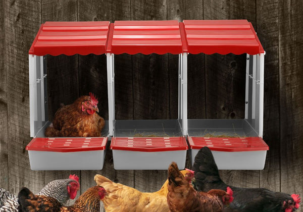 3 Hole Chicken Nesting Box Roll Away Chook Hen Laying Boxes Modular Nest House