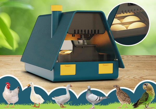 Egg Incubator
