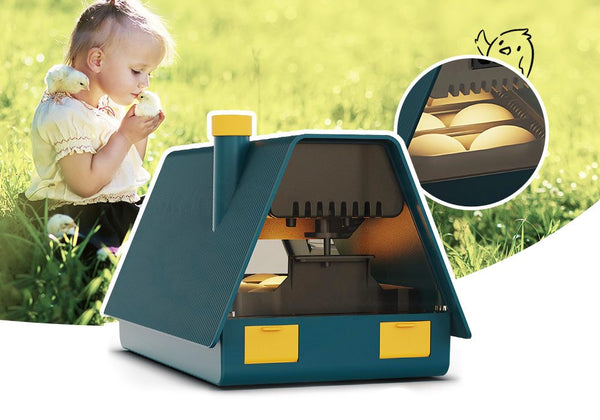 Egg Incubator