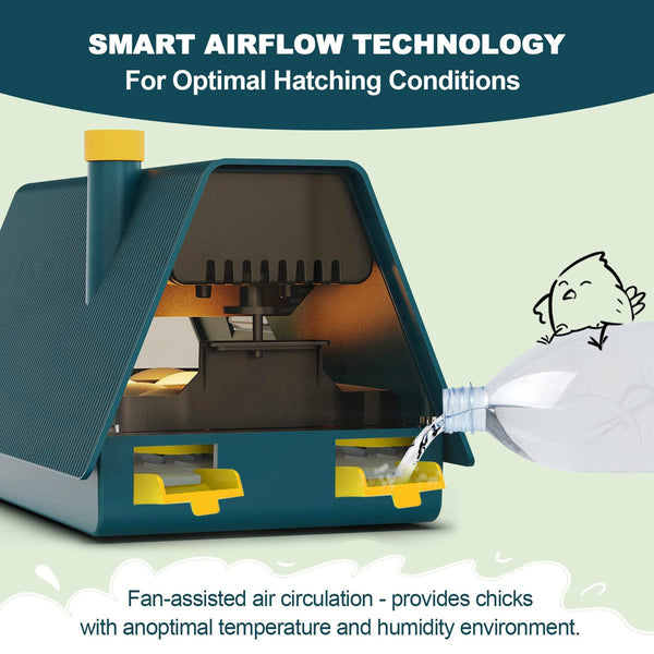 Egg Incubator