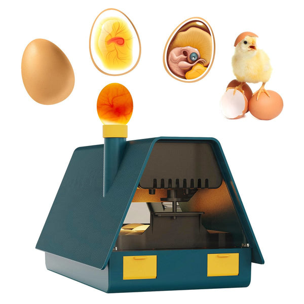 Egg Incubator