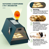 Egg Incubator