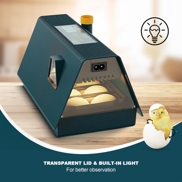 Egg Incubator